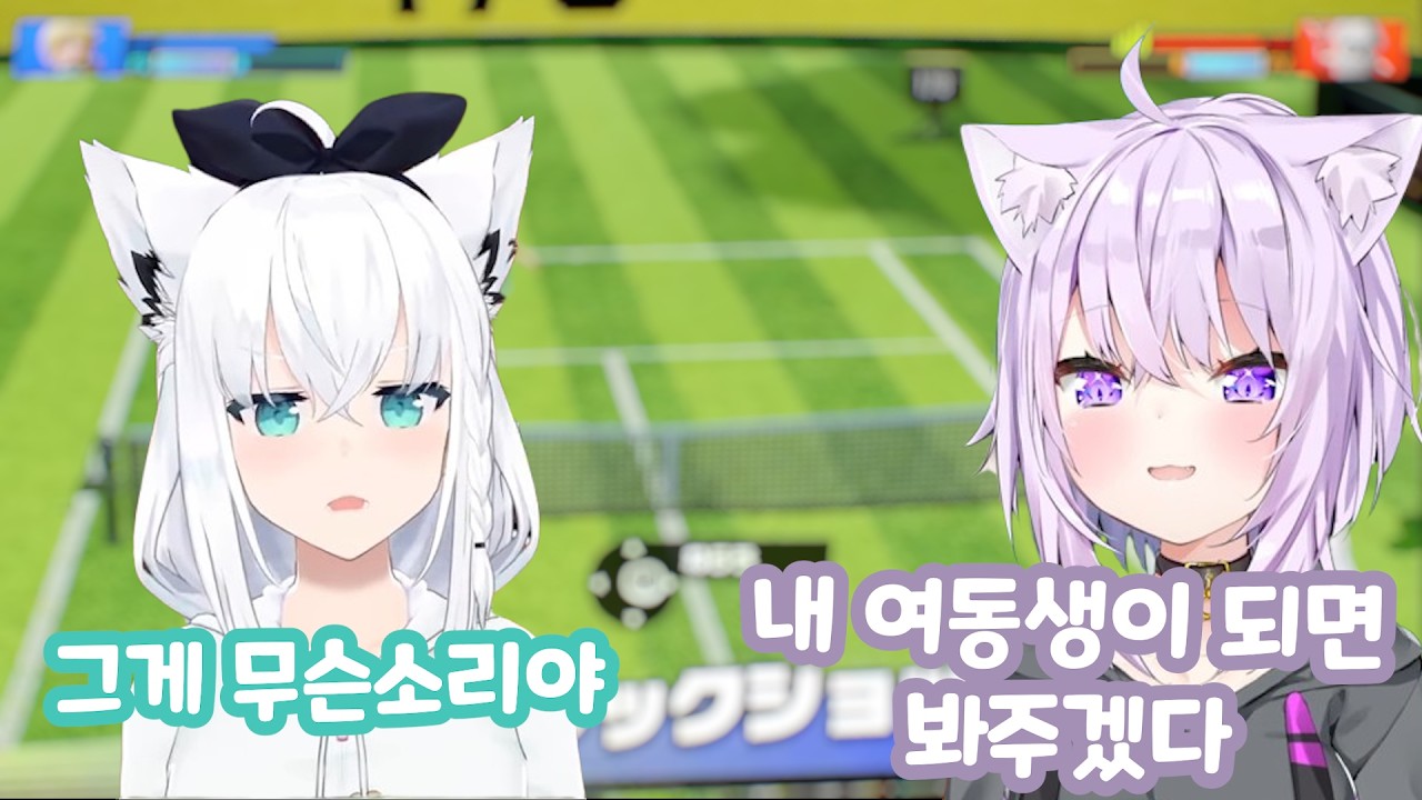 테니스 치는 고양이(?) [홀로라이브 / 시라카미 후부키]