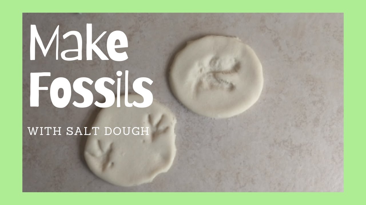 Make Fossils With Salt Dough