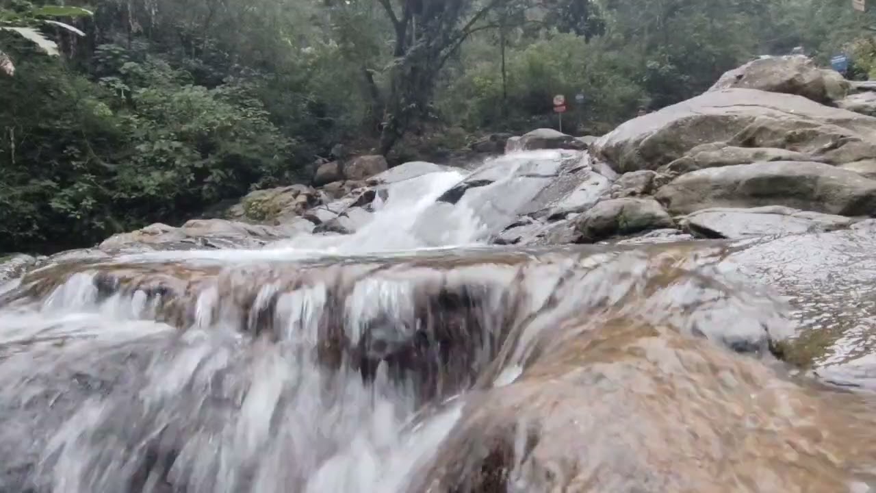 Tranquil River Stream | Nature Water ASMR for Mindfulness & Relaxation
