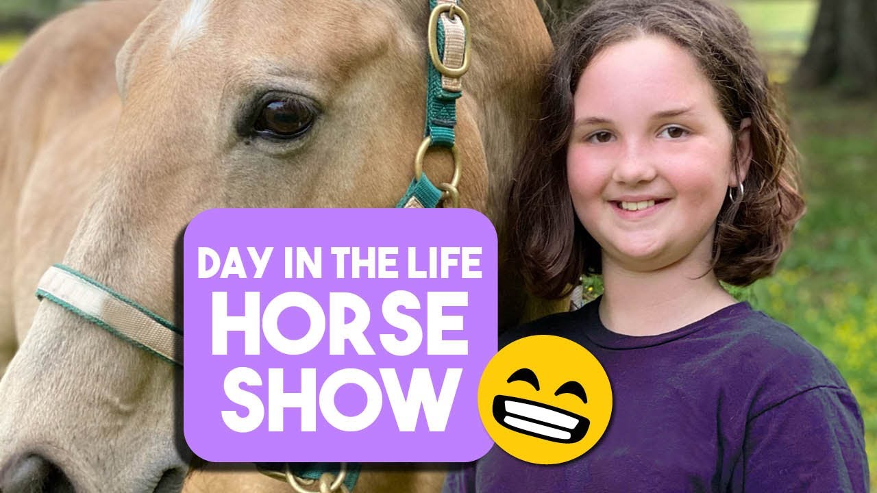 KIDS HORSE SHOWS | Beginner English riding | Kids riding horses