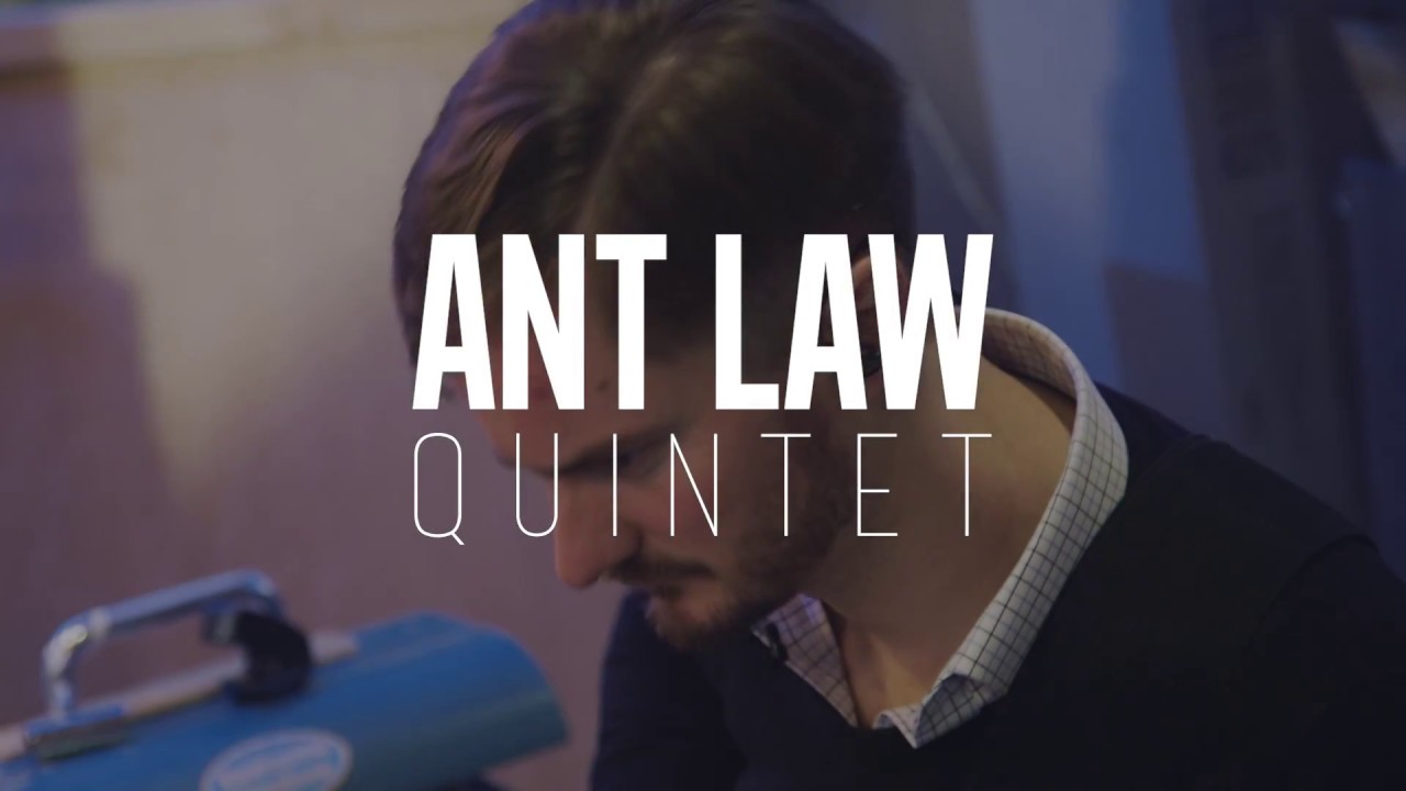 Ant Law 