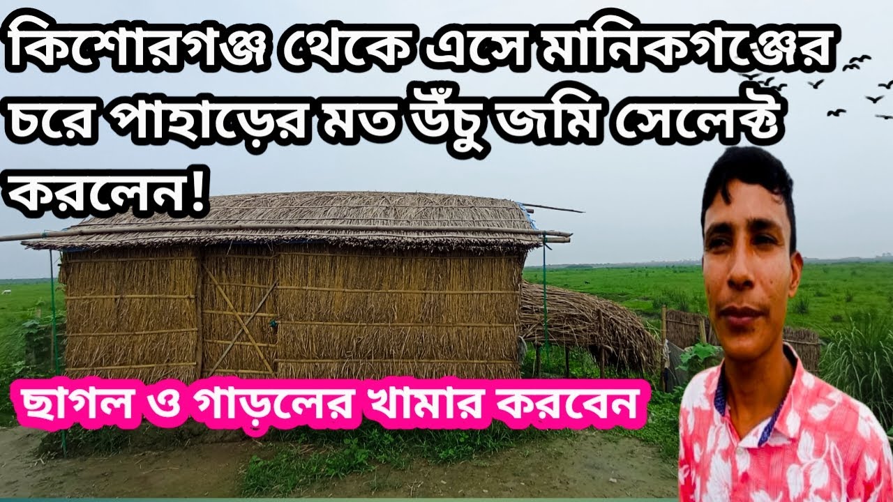 কিশোরগঞ্জ থেকে এসে মানিকগঞ্জের চরে পানির দামে পাহাড়ের মত উঁচু জমি সেলেক্ট করলেন ছাগলও গাড়ল খামারbd
