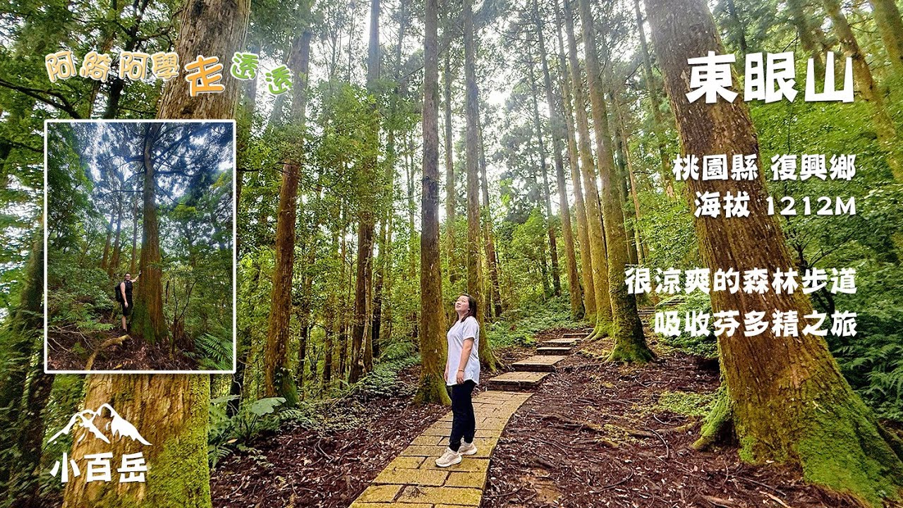 桃園縣復興鄉東眼山1212M｜夏天避暑｜國家森林園區｜小百岳⛰️｜家人出遊#10