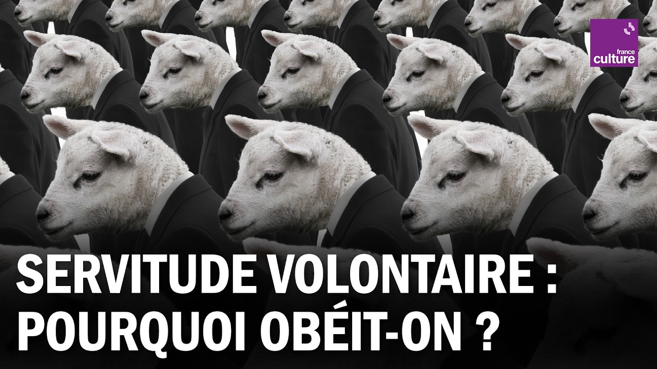 Comprendre le 
