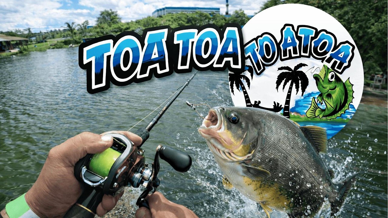 🎣💣 PESQUEIRO TOA TOA SURPREENDEU! Muitos Tamba