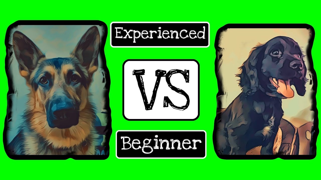 SECURITY DOG HANDLER - Experienced vs Beginner Article Search Training