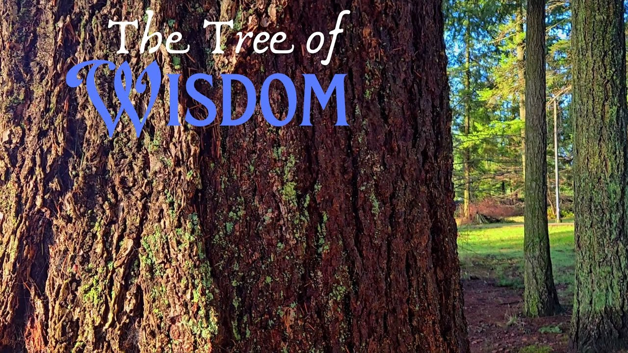 Tree of Wisdom
