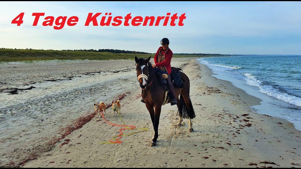 Wanderritt an der Ostsee Strand und Sonne im Oktober | Wanderritte zum Nachreiten | Wanderreiten