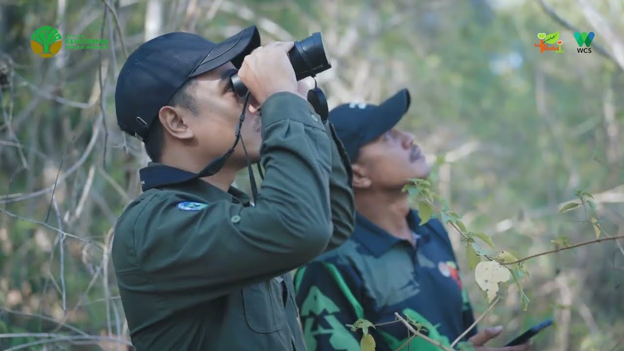 Permata di Tengah Indonesia - Taman Nasional Moyo Satonda