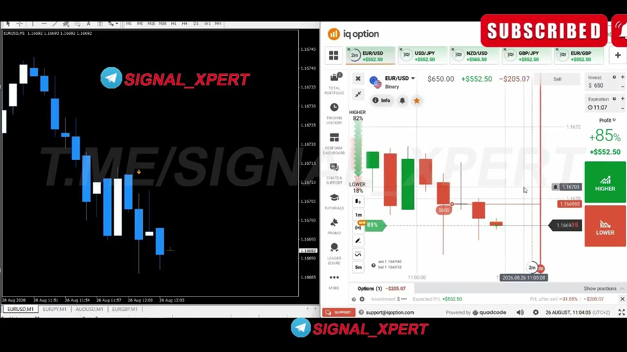 🔥 SIGNAL XPERT MT4 Indicator 🚀 Advanced Binary Options Trading System | Powerful Signals