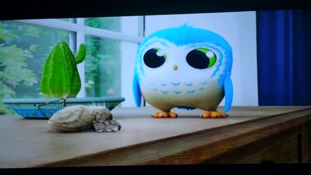 LUCAS THE SPIDER - Prickly Pals S01E39
