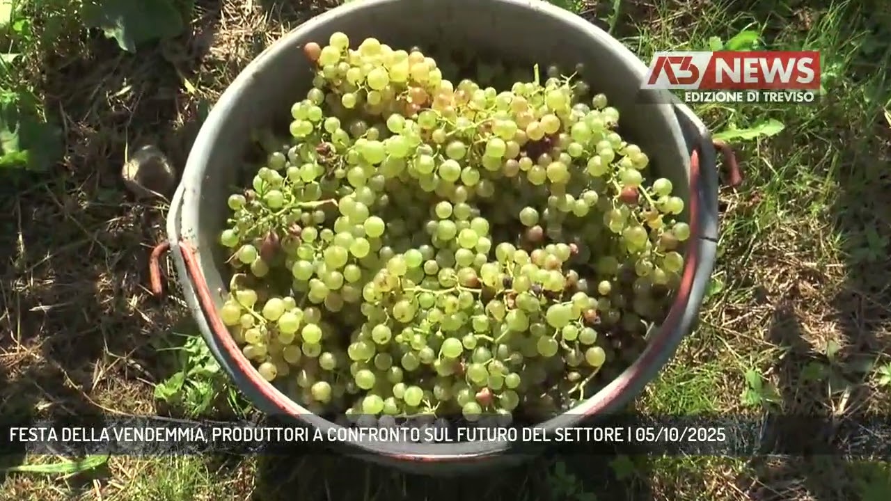 FESTA DELLA VENDEMMIA, PRODUTTORI A CONFRONTO SUL FUTURO DEL SETTORE | 05/10/2025