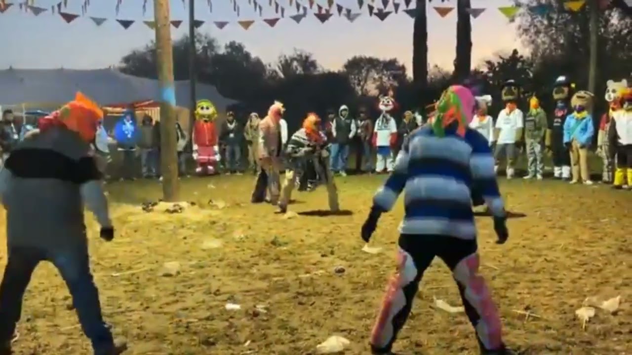 Carnaval De Gandho Tecozautla Hidalgo 2025 [Golpes]