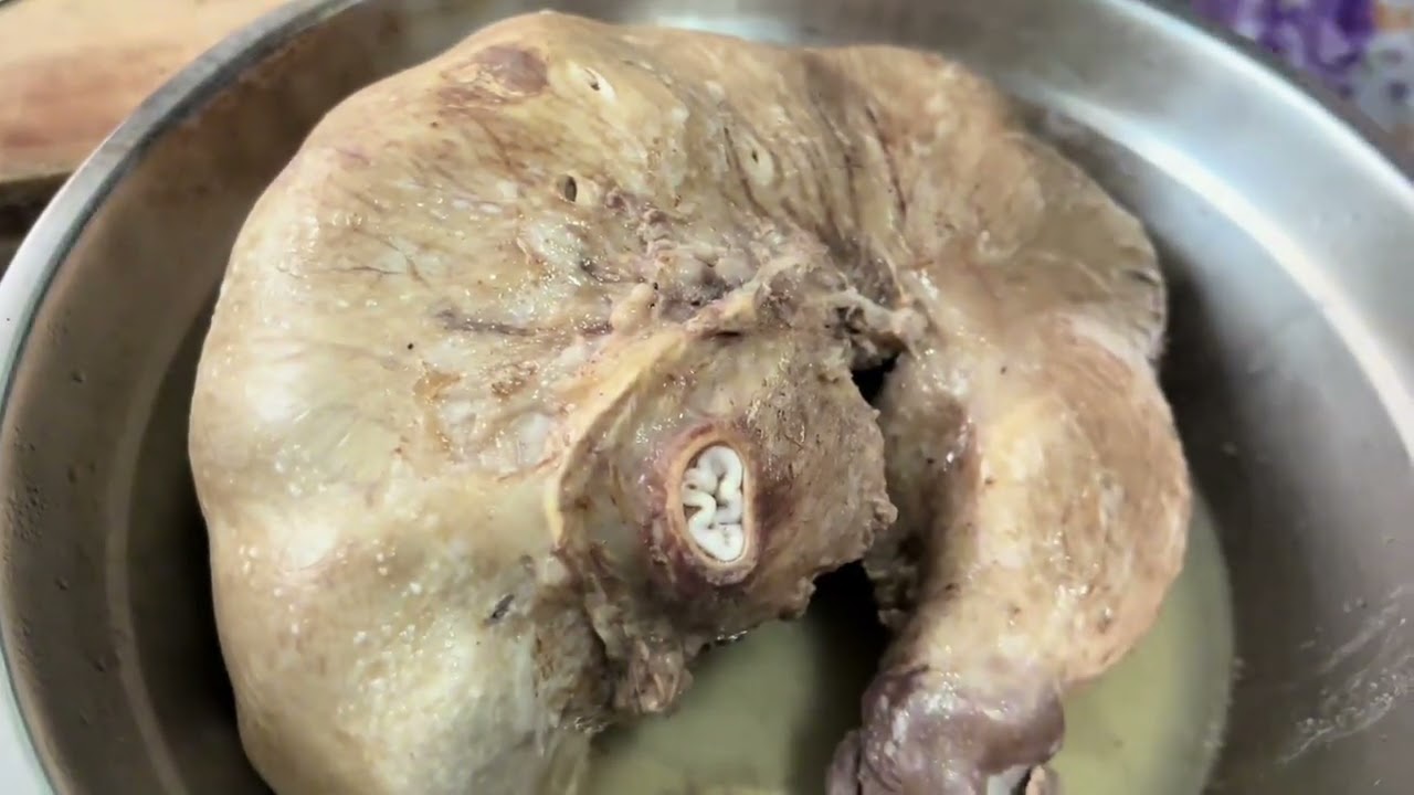 今天殷二炖的青果煨猪肚，一家人都没有吃过，你们吃过青果炖猪肚吗#记录真实生活
