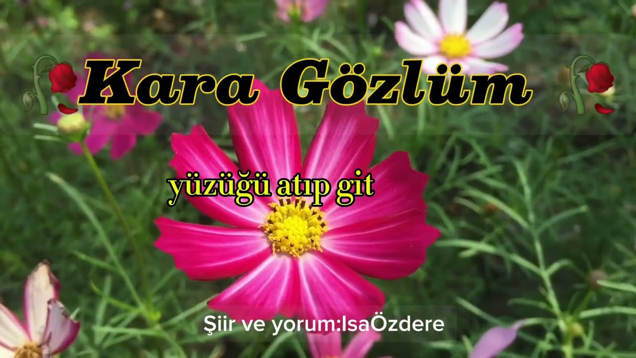 🥀💔Kara Gözlüm 🥀💔Şiir :İsaÖzdere/ Hasret ve Terk Ediliş Üzerine Duygusal