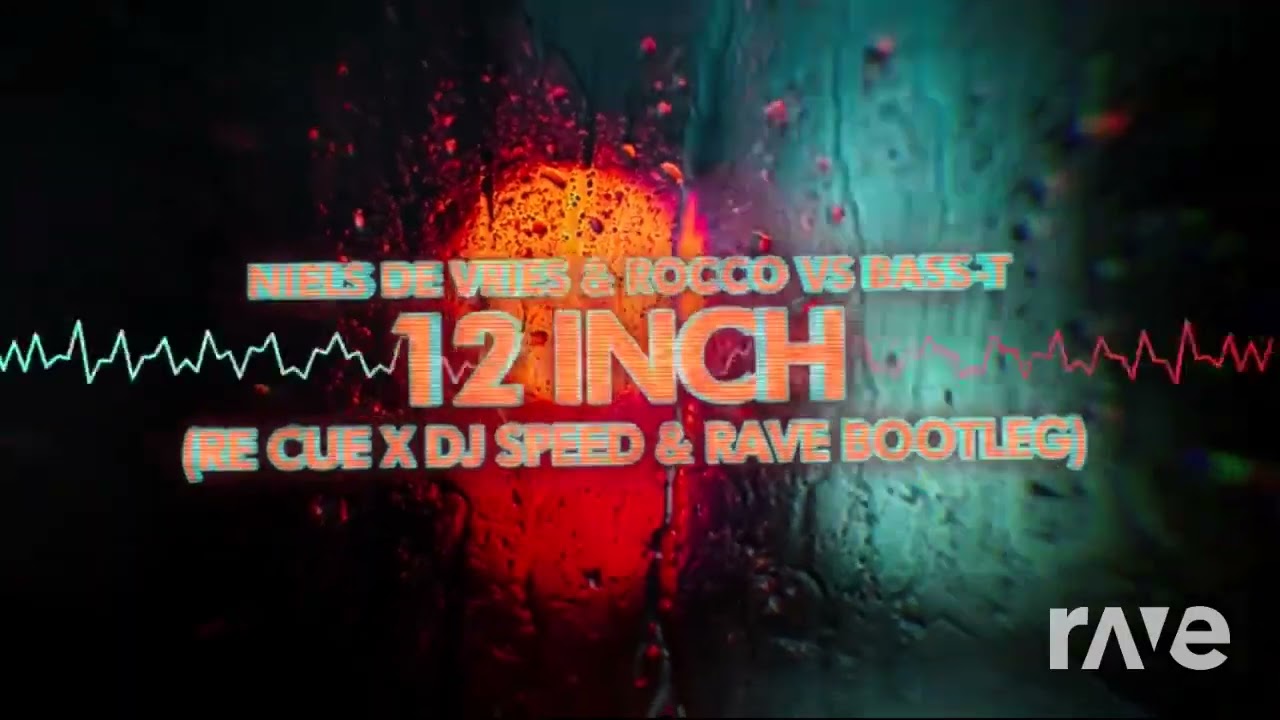 Inch On 12 Meteorite // Niels De Vries & Rocco Vs Bass-T- 12 Inch