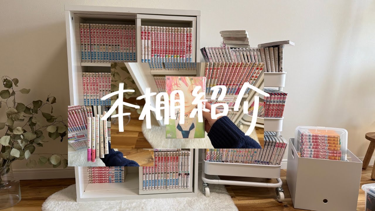 少女漫画読みすぎてリアルに恋愛ができない女の本棚紹介