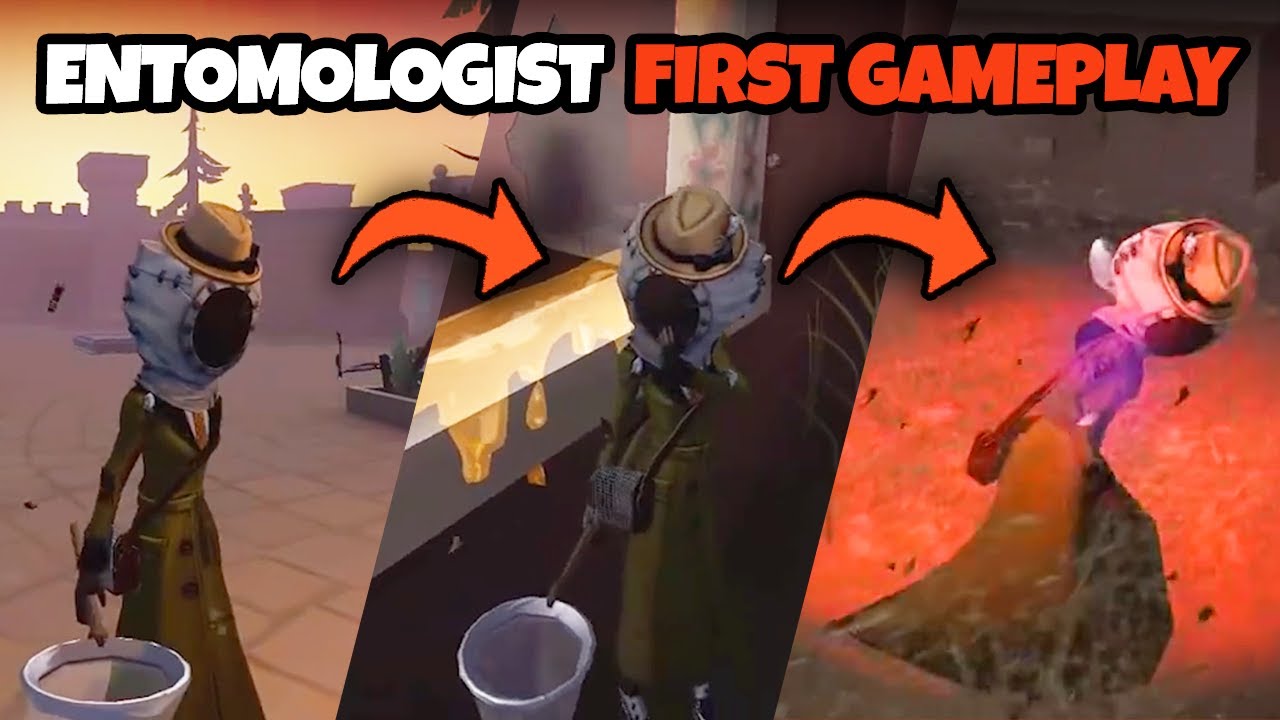 ENTOMOLOGIST - FIRST GAMEPLAY! (Identity V - New Survivor)