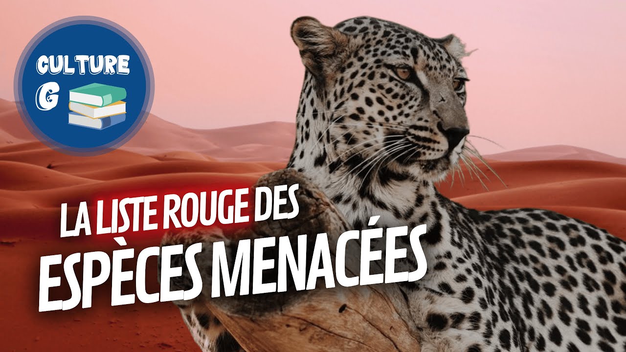 Qu'est-ce que la liste rouge de l'UICN ?