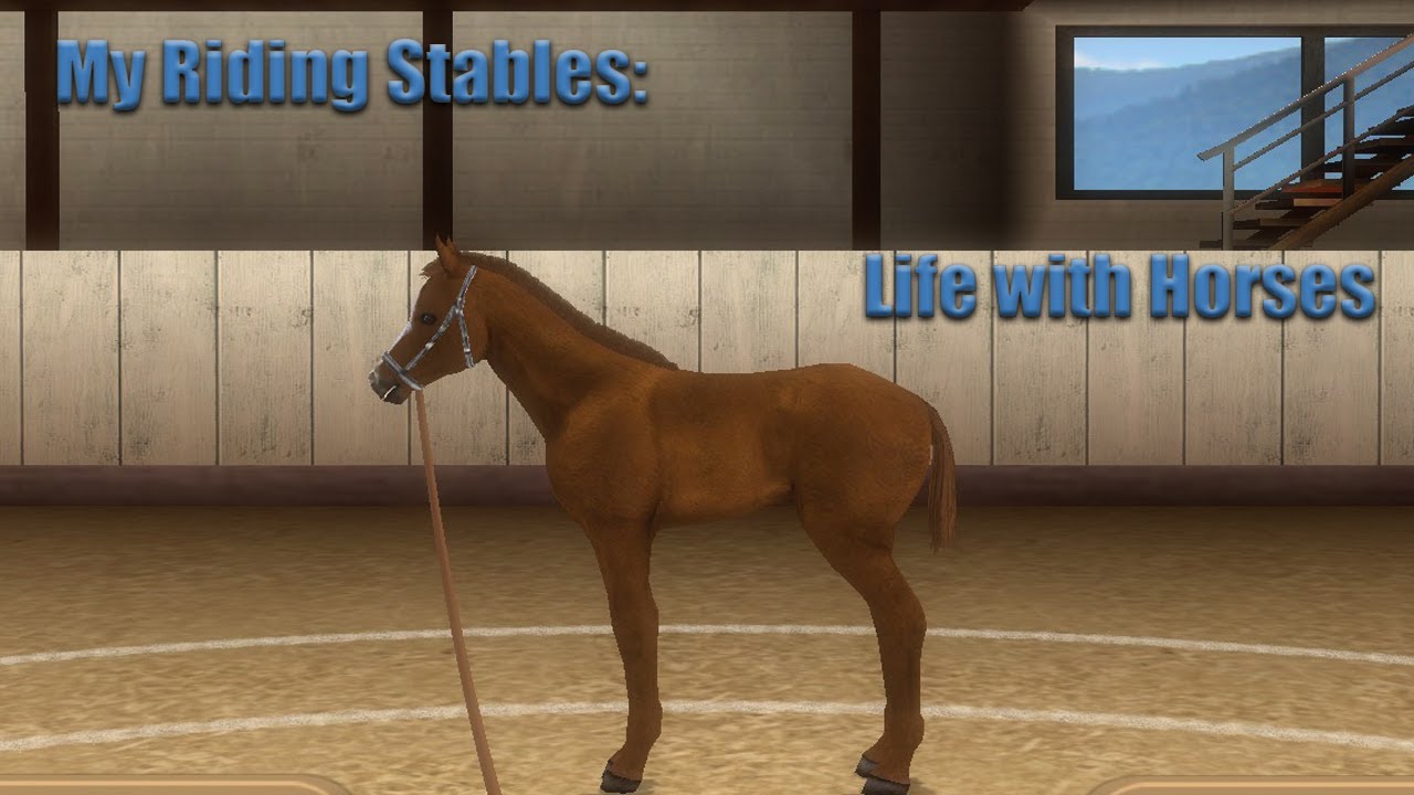 My Riding Stables: Life with Horses. Манеж готов! Тренируем жеребят!