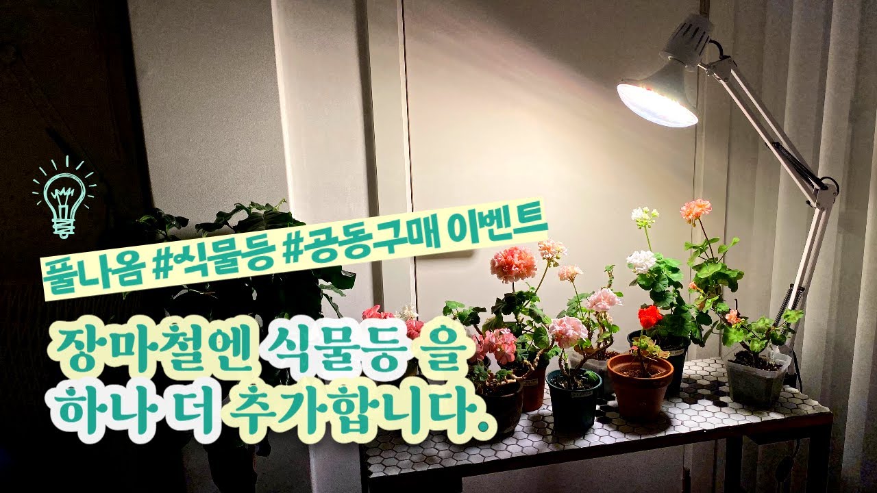 식물등 필요하시죠? #풀나옴식물등 공동구매로 저렴하게 구입하세요!