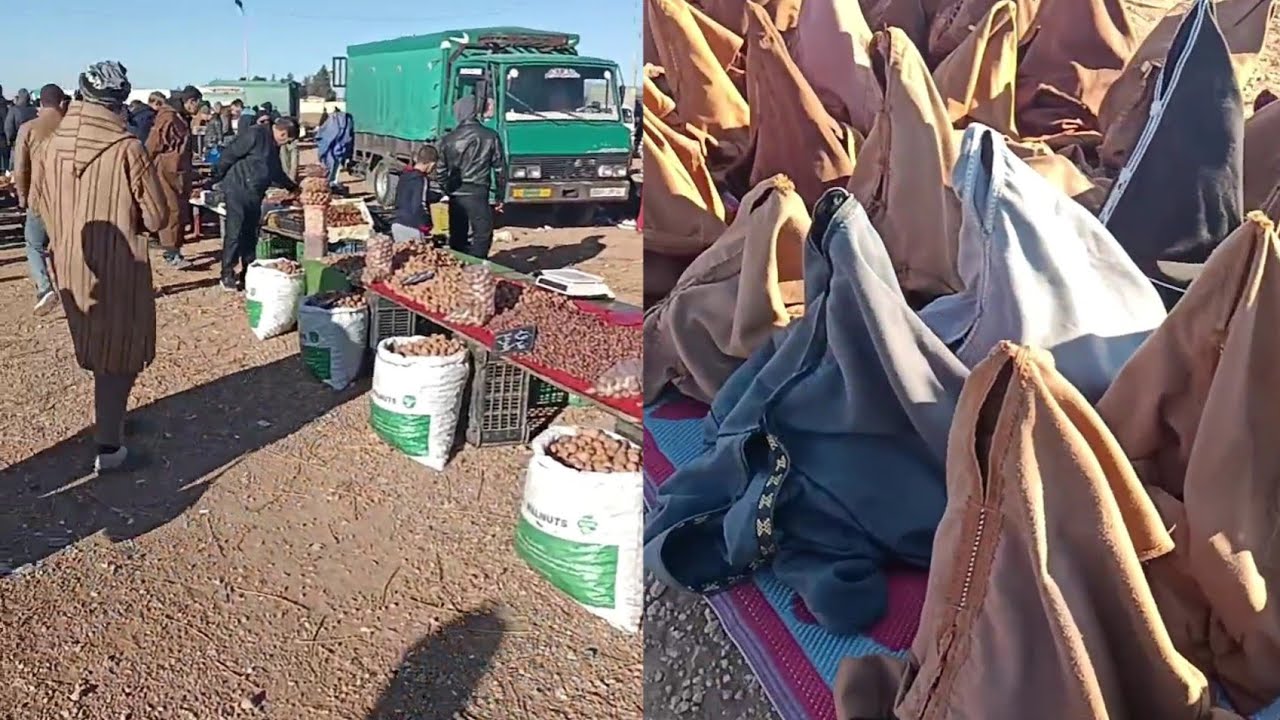 مباشرة من أكبر سوق بالجزائر ب بئر وناس دائرة عين البيضاء ولاية أم البواقي اليوم 😍