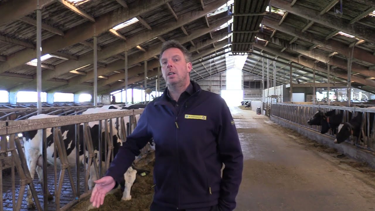 Ruwvoerspecialist ABZ De Samenwerking over een plan voor je ruwvoerwinning