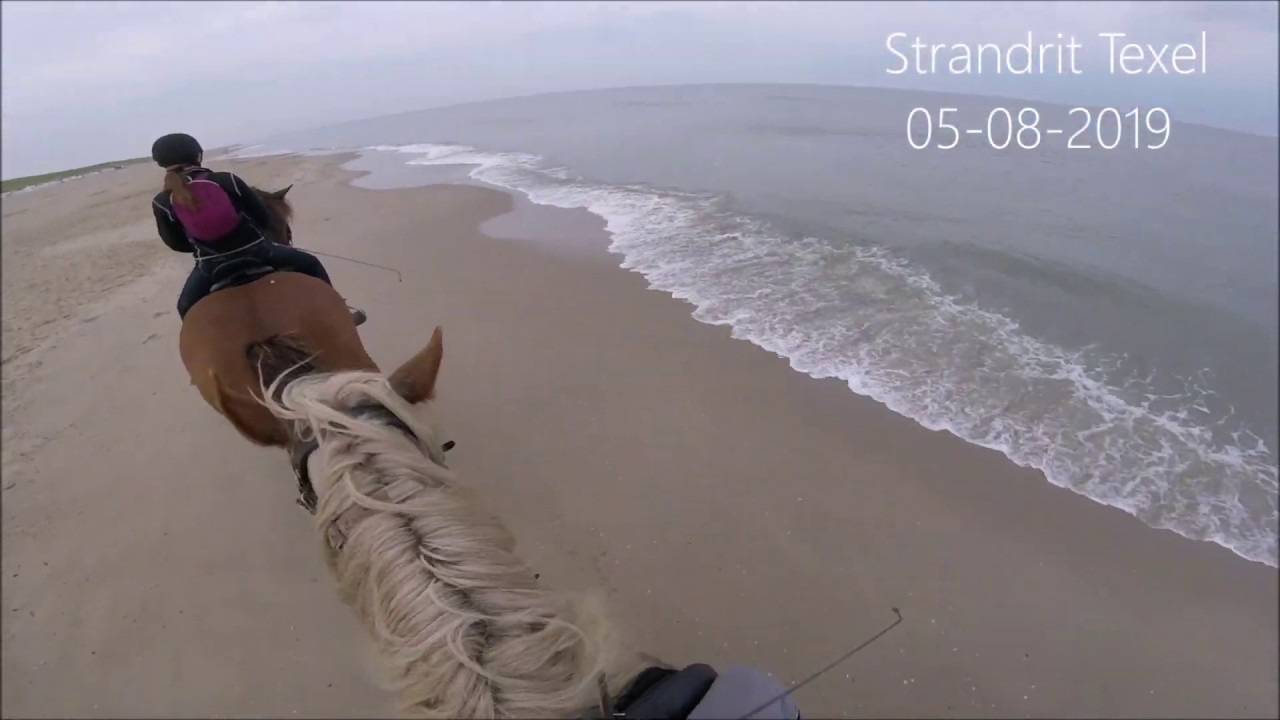 Strandrit Jan Plezier Texel | 5 augustus 2019