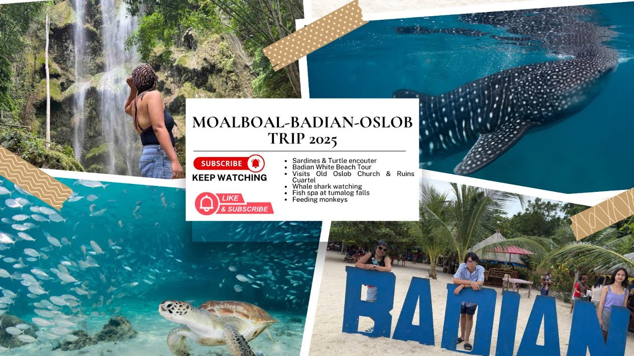 MoalBoal-Badian-Oslob Trip