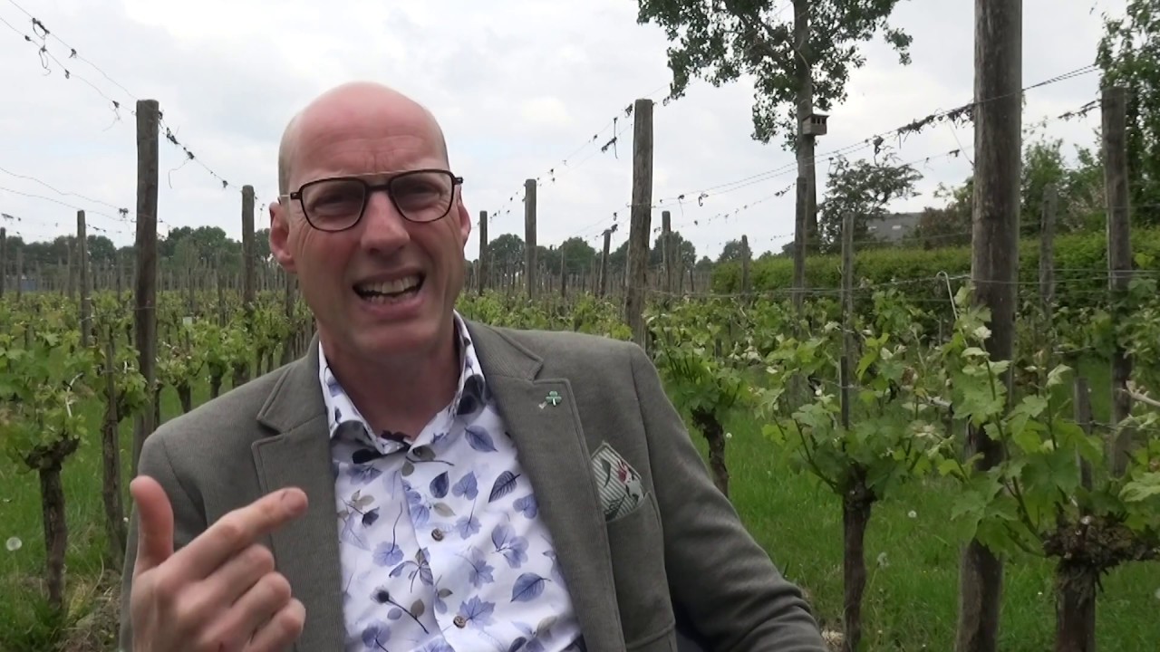 Eds Wijnwijsheid: Hoe proef je verschil tussen zuur, zoet, tannine en alcohol?