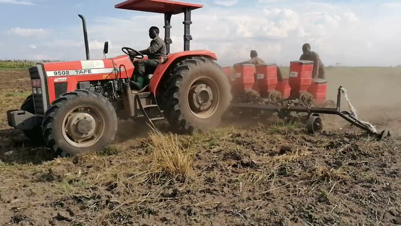 PLANTING MAIZE USING A TRACTOR.