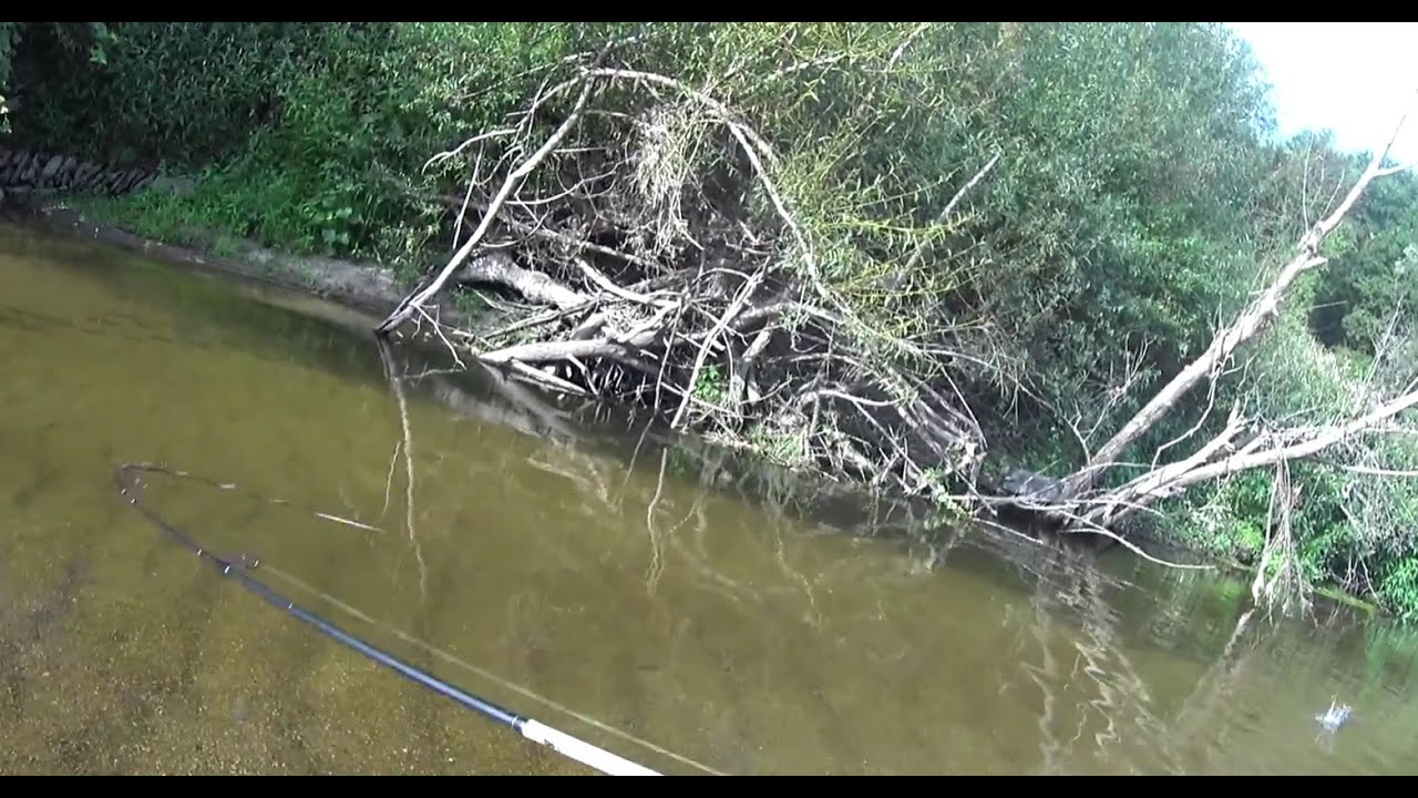 Beautiful creek - Riacho lindo