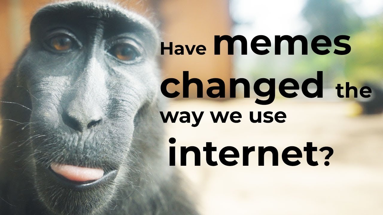 How memes have changed the way we use internet