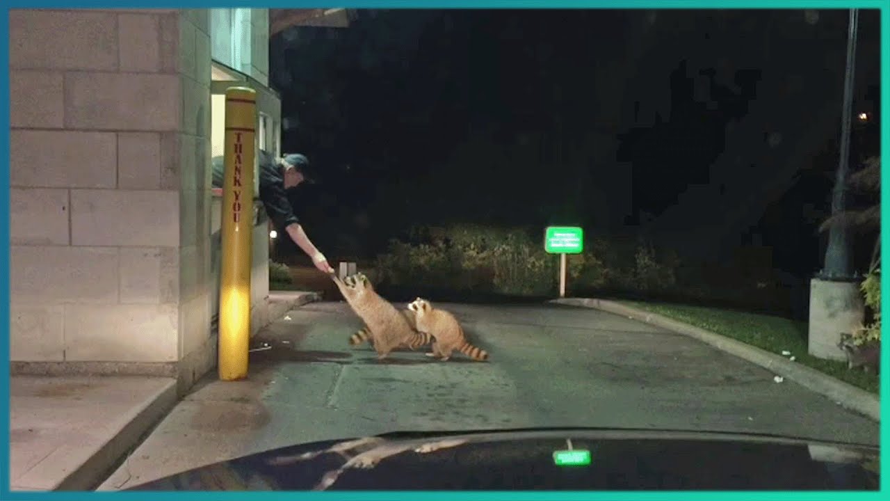 Random Acts of Kindness | Faith in Humanity Restored