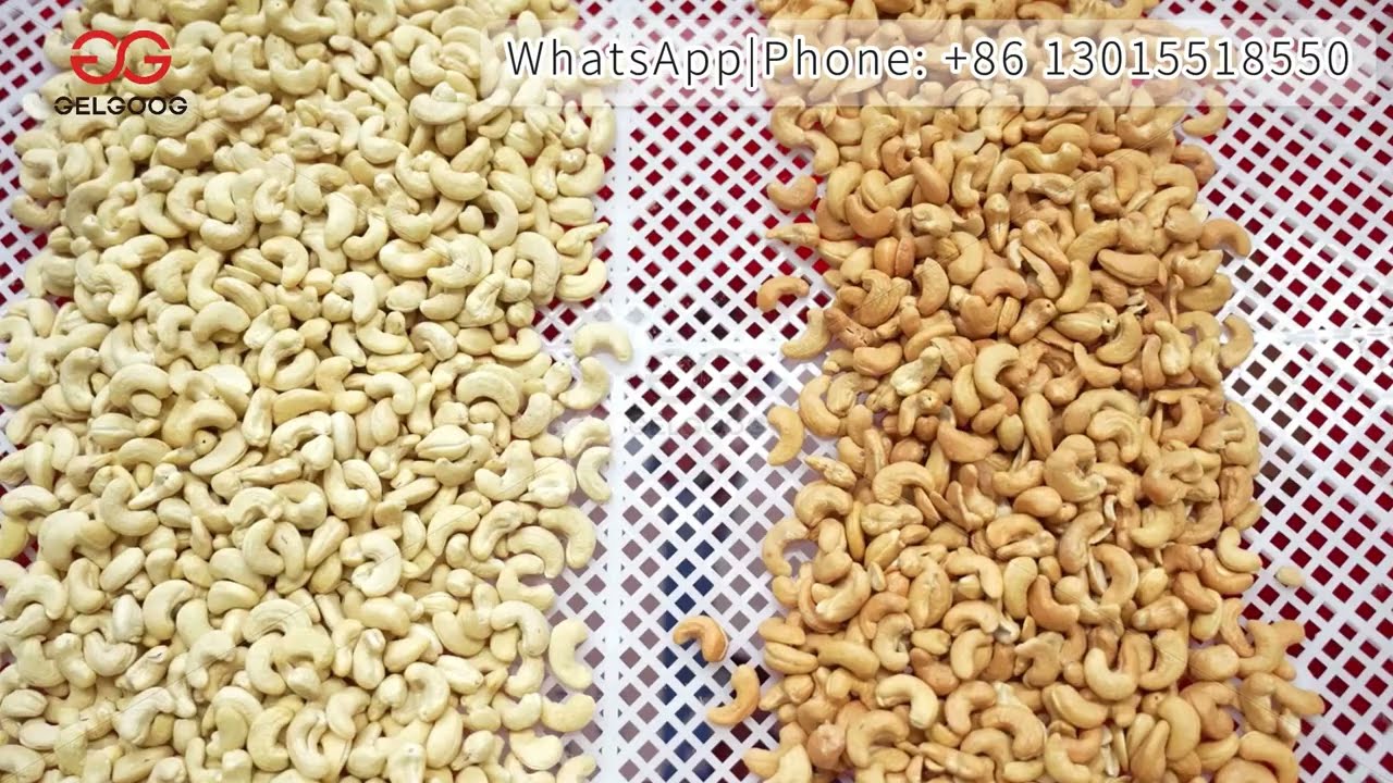 Salted Cashew Nut Processing Machine, Cashew Nut Salting And Roasting Machine #salted