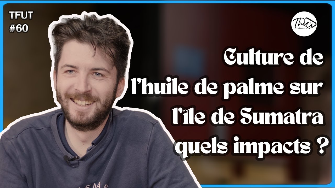 Culture de l'huile de palme, sur l'île Sumatra quels impacts ? Carl Bethuel - T'fais une thèse ? #60