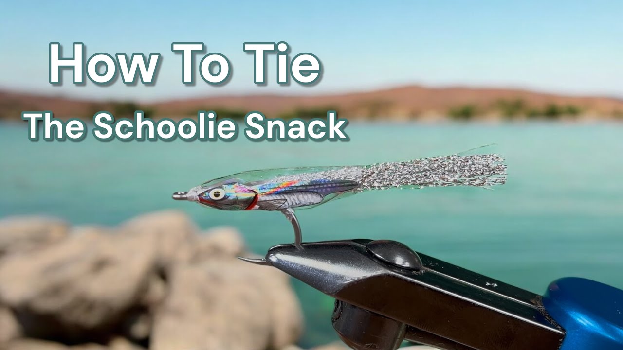 How to tie the Schoolie Snack.  A great fishing fly for Striped Bass, False Albacore and Bonito.