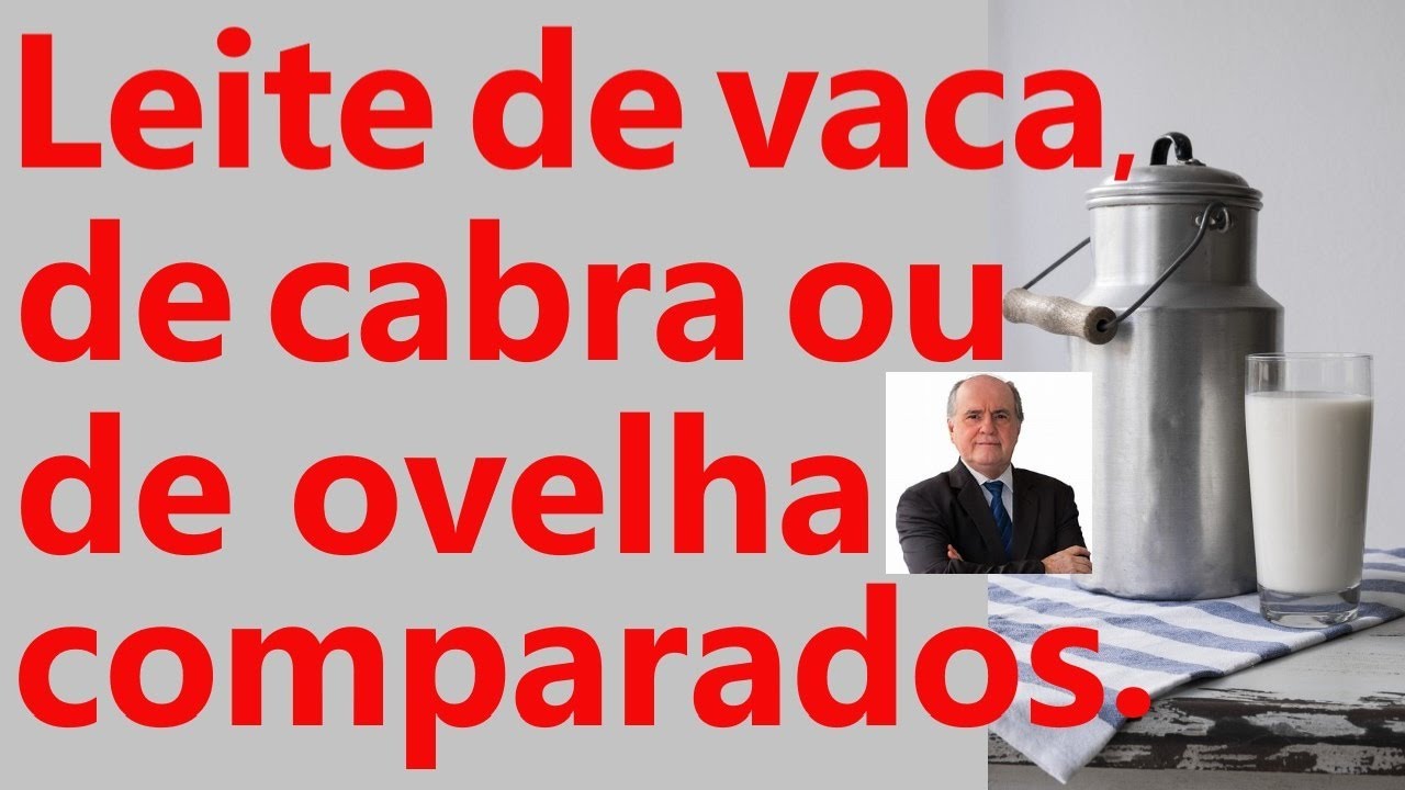 LEITE DE VACA, DE CABRA E DE OVELHA. QUAL É O MELHOR?