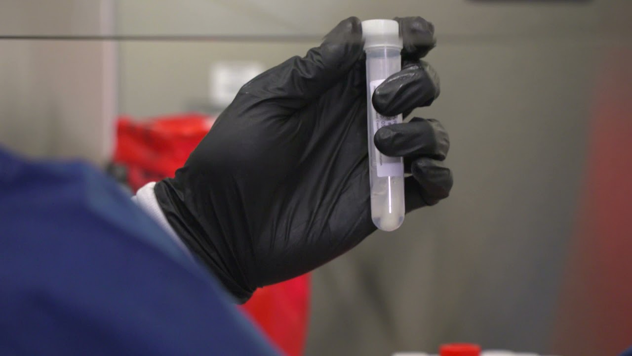 RNA Extraction Process for a COVID-19 Test