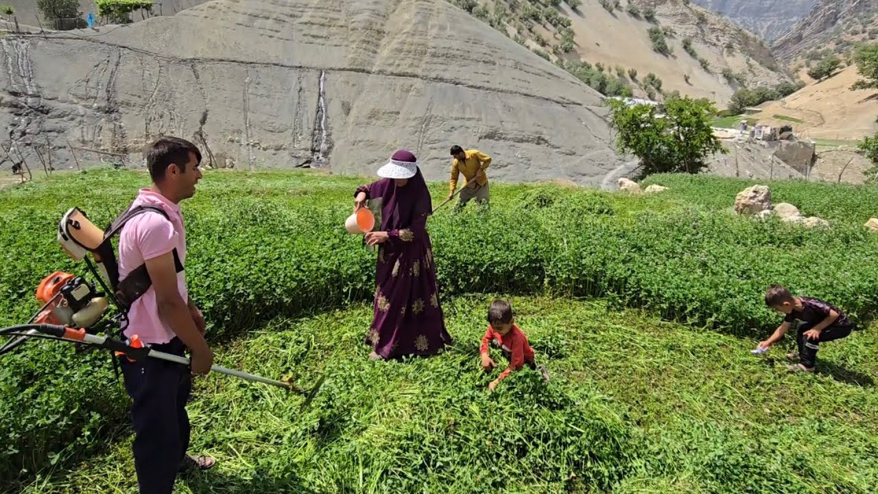 Babak helping Atabak's family harvest the farm's crops