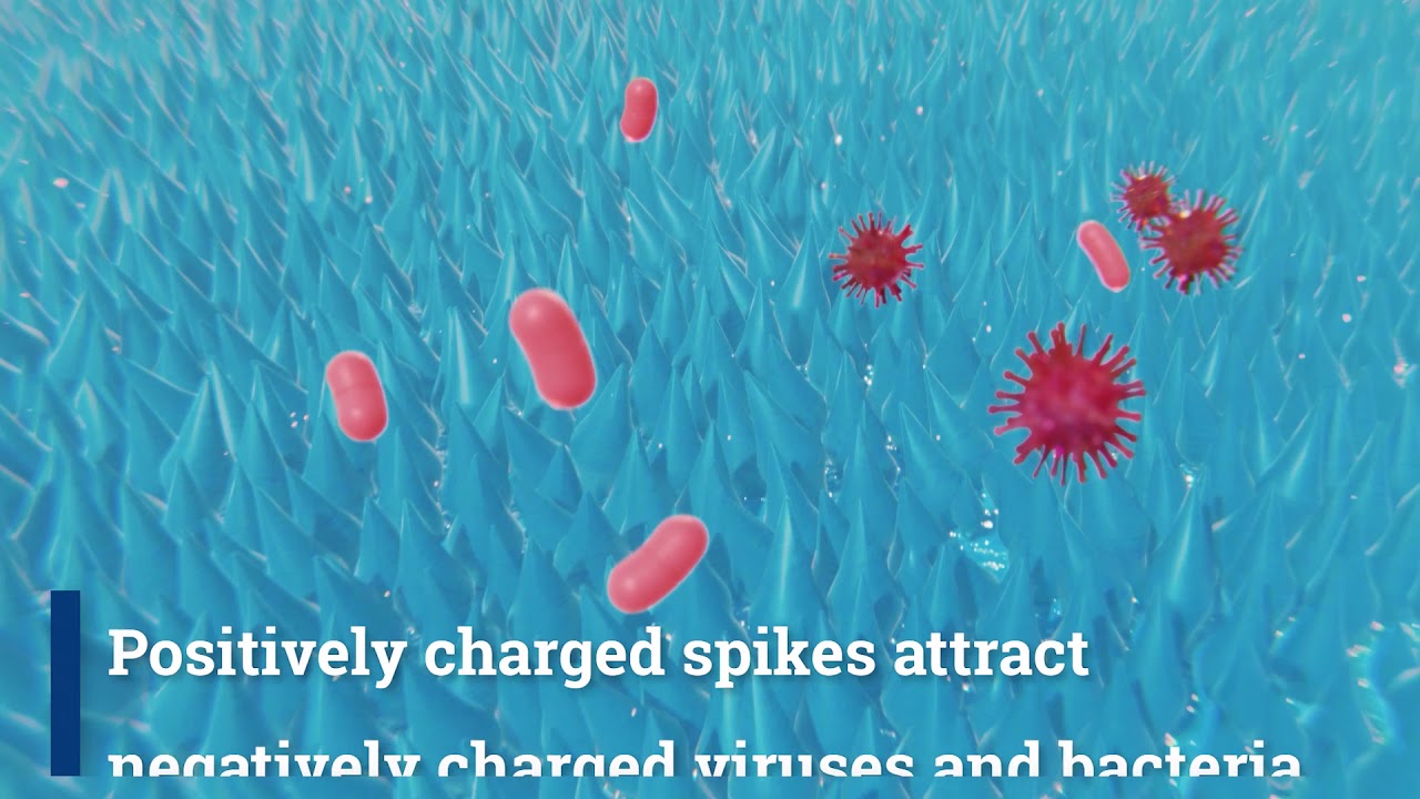 How to Disinfect your Automobile, Taxi, Car from the Corona Virus with Infect Protect?