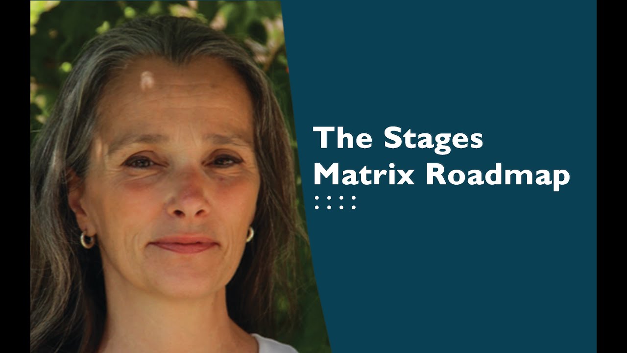 The Stages Matrix Roadmap -Almudena Gonzales