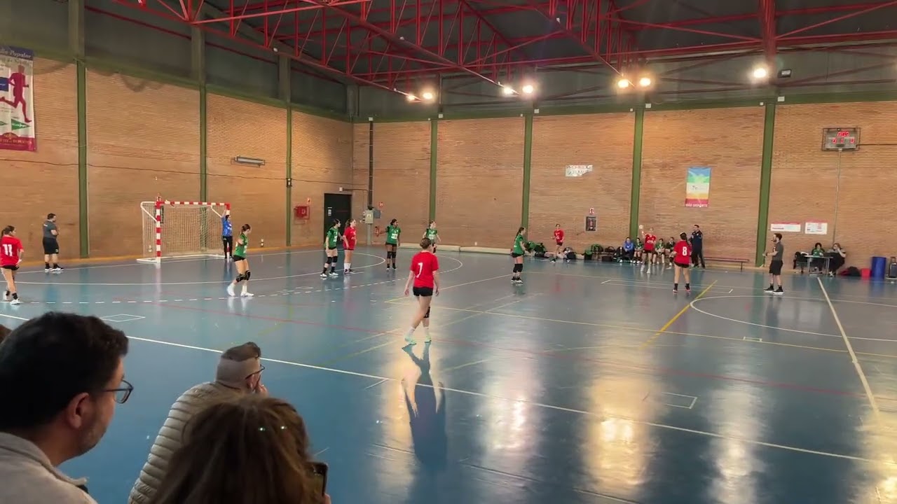Balonmano Femenino cadete—Proin—Adesal