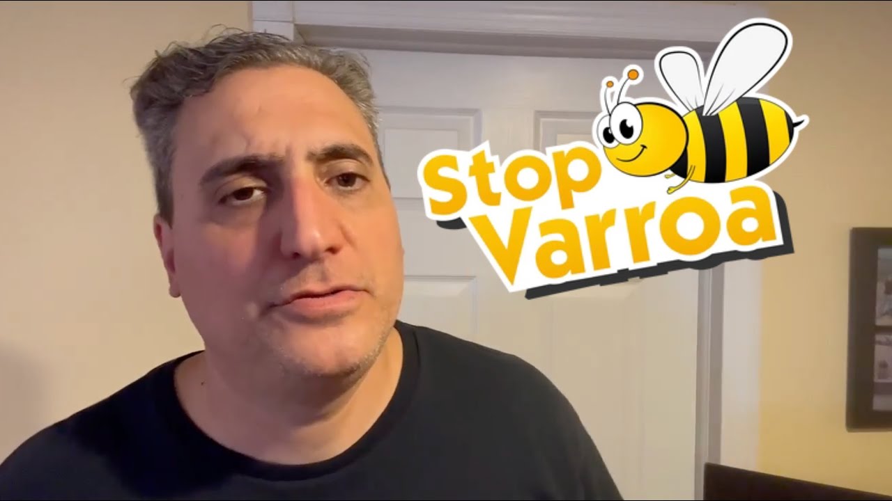 Client satisfied - Review on StopVarroa varroa treatment