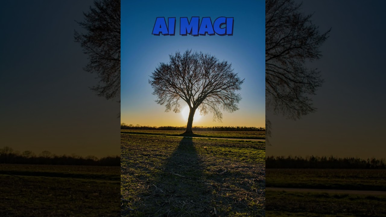 AI Maci - Öreg tölgy alatt