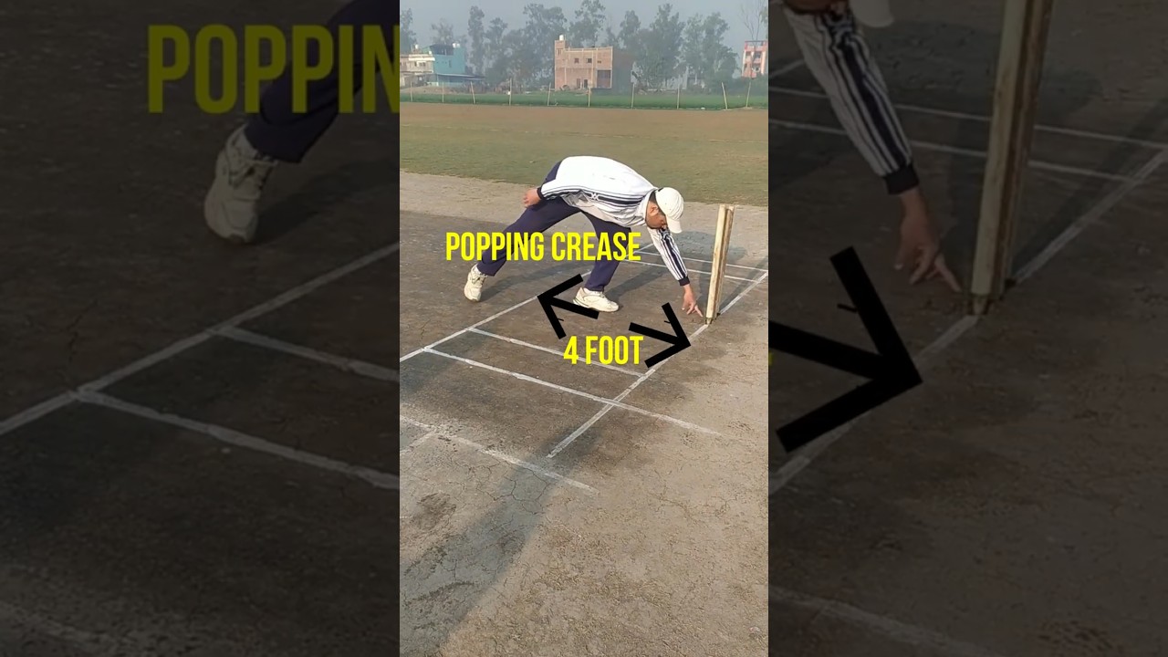The Importance Of Cricket Pitch Creases. #shorts #cricket