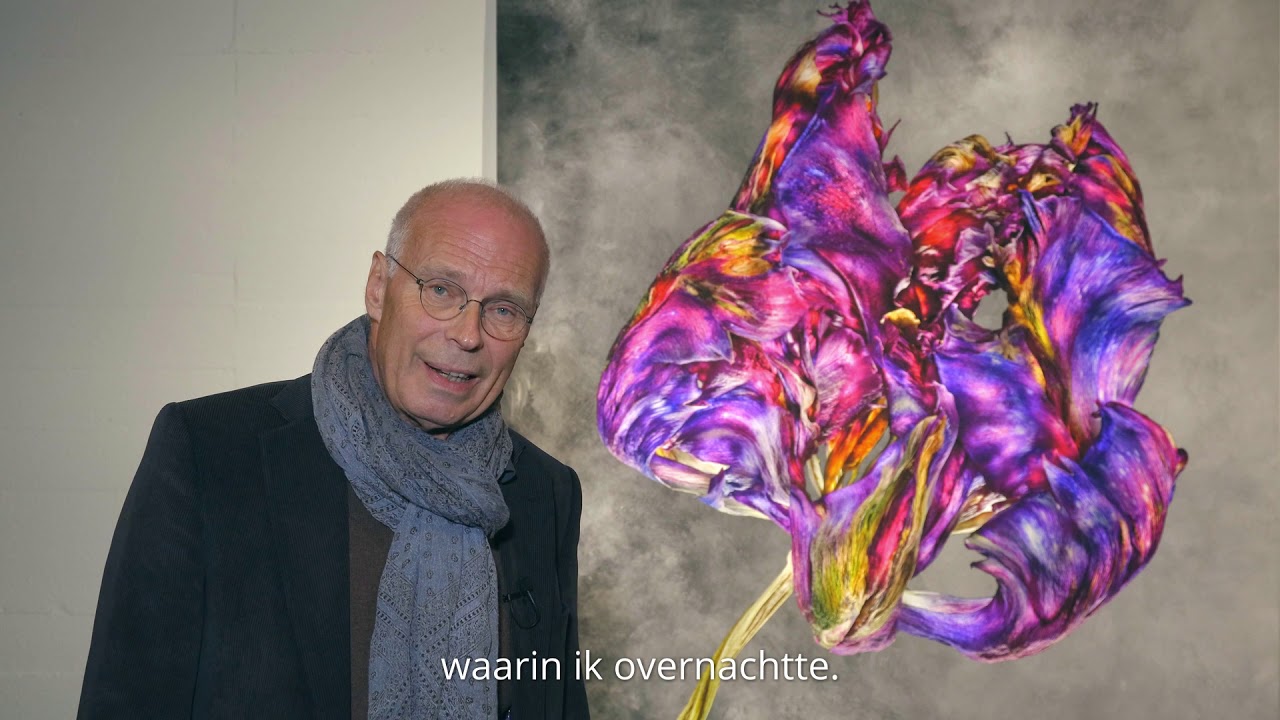 Flower Art Museum: exhibition A Tribute to Flowers - Richard Fischer