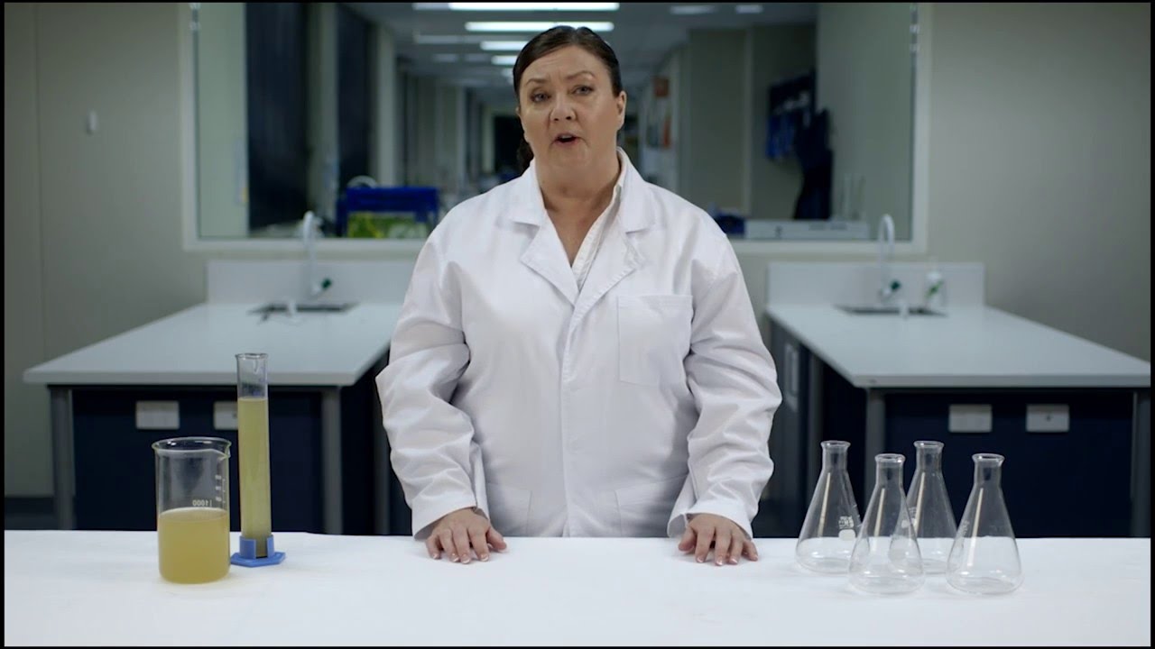 HSC Study Lab: Y12 Biology: Modelling Pasteur's Experiment