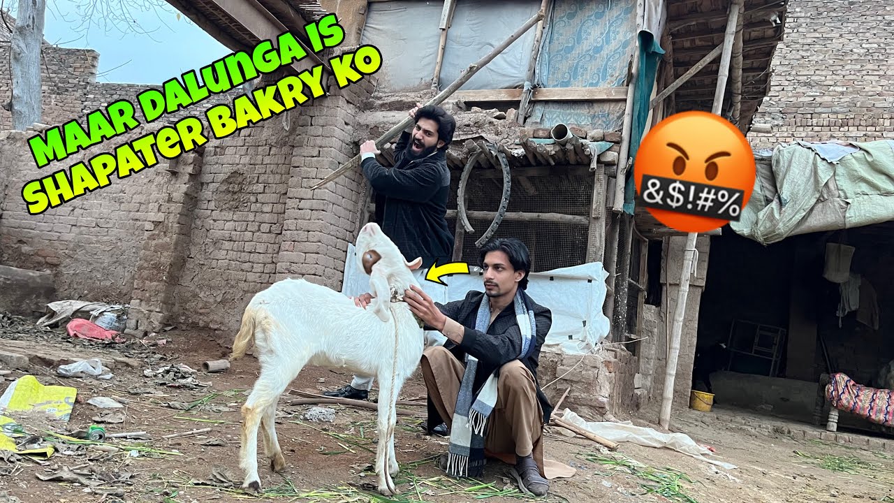 Maar dalunga is shapater bakry ko 😡 bhaag gaya ❤️