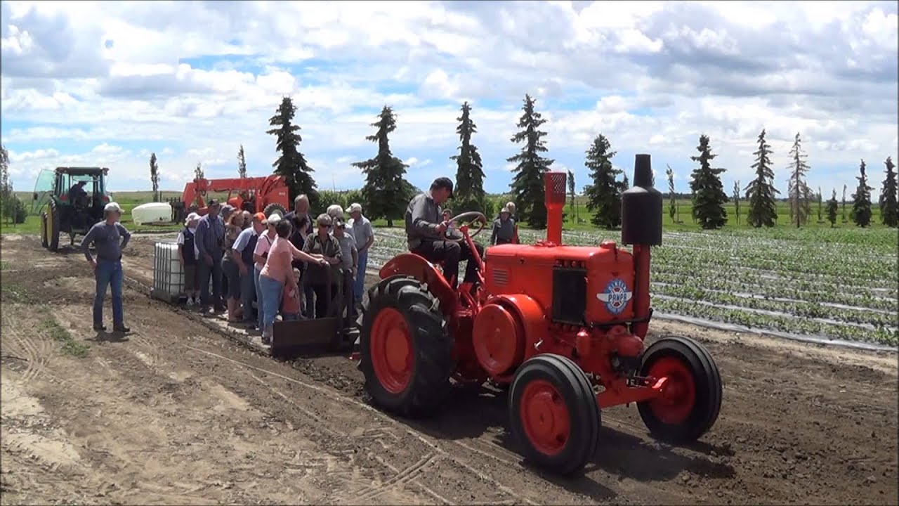 Argentinian D.I.N.F.I.A Pampa Pull
